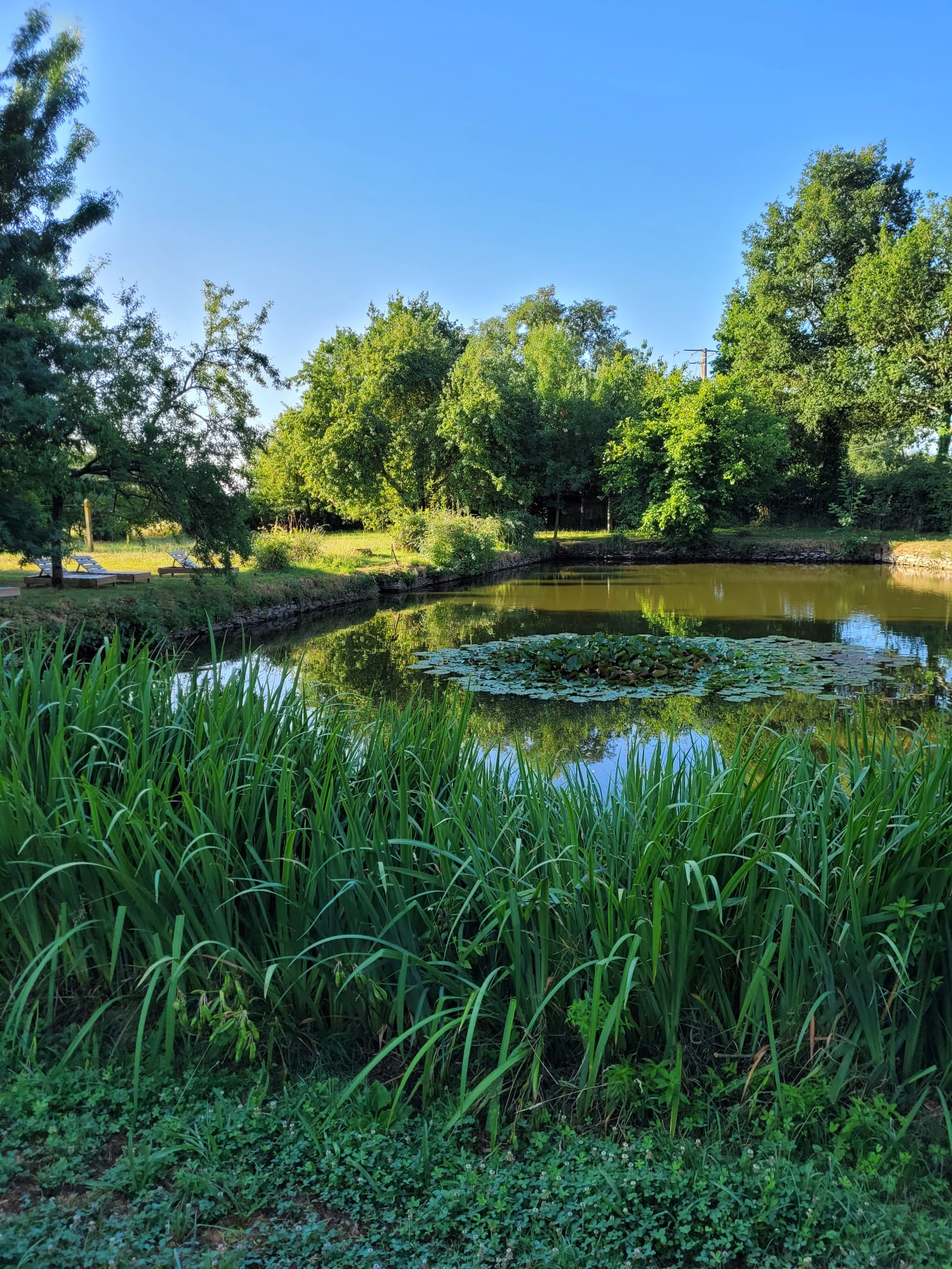 WEEKEND DES ARTS à Loré (1)