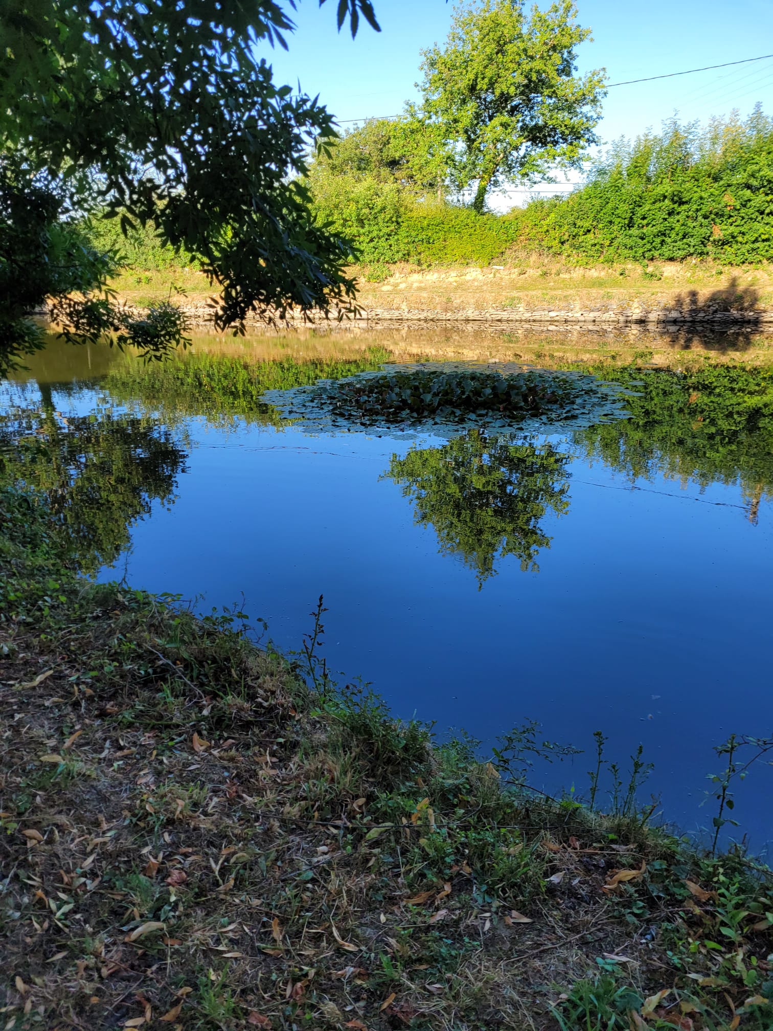 WEEKEND DES ARTS à Loré (9)